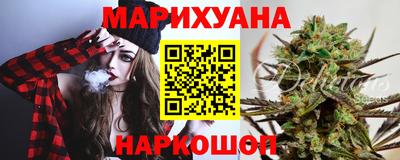 apvp Аша