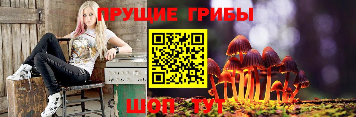 Псилоцибиновые грибы мухоморы Большой Камень