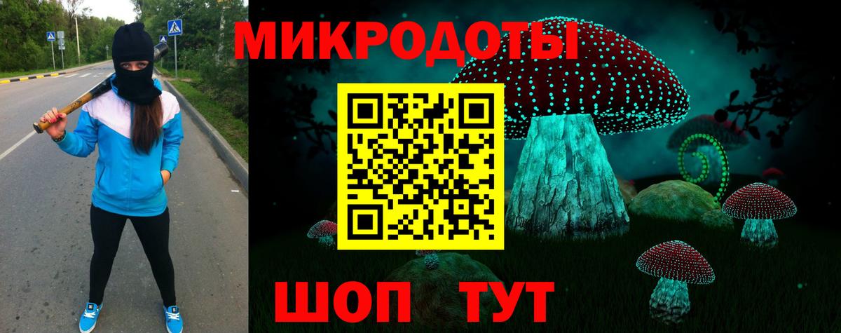 Галлюциногенные грибы GOLDEN TEACHER  Галлюциногенные грибы Psilocybine cubensis  Большой Камень  Вход с VPN 